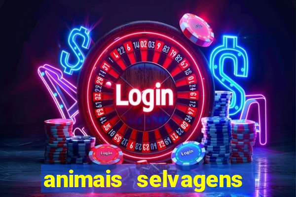 animais selvagens fotos e nomes